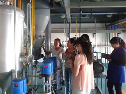 化学工程系煤化工教学工厂本学期教师培训圆满结束，深化产教融合，提升教育服务质量